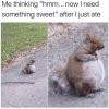 FB_IMG_1646020673567.jpg