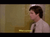 airplane-whatapisser.gif