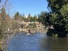 AE069CDF-BEFF-4AFE-83A5-E08419E64BA1.jpeg