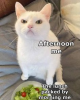 652967