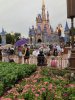 IMG_8094.jpeg