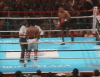 AcclaimedRealisticBoilweevil-size_restricted.gif AcclaimedRealisticBoilweevil-size_restricted.gif