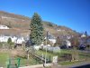 20220319_095305.jpg