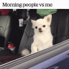 655985