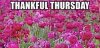 34F4FA58-A96B-4570-9B3E-59F4D7CE7527.jpeg