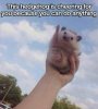 2016-04-07_08-52-30_000.jpeg