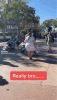 3AE9A2AF-C505-424A-AAFD-EC0FE078F3AF.gif