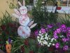 D24DF0CB-7D2D-4C3C-99F6-A7429AFA6EC7.jpeg