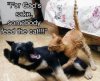 6A81E6FB-213C-4219-92DF-B55465F256E2.jpeg