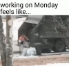 46B065A3-C919-4ACA-B77C-4986AF56FE32.gif