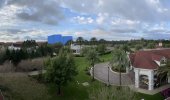 VGF to Poly DVC View.jpg