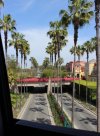 IMG_7424.jpg