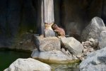 DSC_0285.jpg