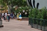 Hollywood Studios- Donald & Daisy Duck.JPG