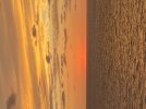 4C3AB890-70F1-43D2-AFEC-8773E96B1CDE.jpeg