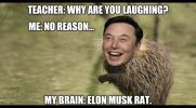 95043F30-5FE2-4C9F-A808-6F3DD4F6F7E4.jpeg