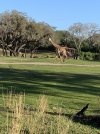 IMG_0189.jpeg