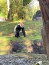 IMG_0200.jpeg