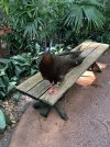 IMG_0208.jpeg