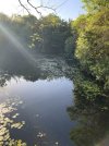 IMG_0183.jpeg