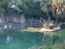 IMG_0691.JPG
