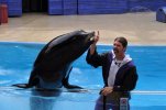 Sea World- Clyde & Seamore20.JPG