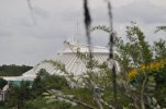 Magic Kingdom- View Towards Space Mountain from Swiss Family Treehouse1.JPG