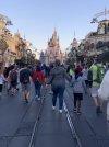 IMG_7349.JPEG