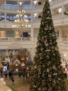 IMG_7933.JPEG