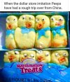 6C007D38-BE12-4713-A699-7CDB2DA2CA8D.jpeg