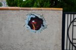 DSC_0342.jpg