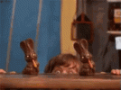98E6E580-C7EA-49F9-A2E6-76093C68A1C1.gif