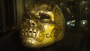 DSC05554.JPG