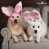 1650177071433.gif