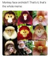 FB_IMG_1650210566092.jpg