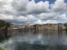 IMG_1262.jpg