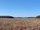 6D7282F5-1407-4881-BFD9-AEE20848FCF4.jpg