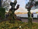 IMG_0236.jpeg