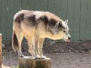 18483549-96D0-44D3-9DB9-C6640A71DB9E.jpeg