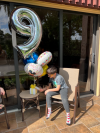 Disney - balloons.PNG
