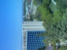 IMG_8380.jpeg