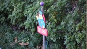 DSC05570.JPG