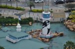 Sea World- Sky Tower25.JPG