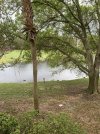 IMG_0278.jpeg
