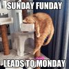 3ADB0E3B-B35C-4347-B544-414E8073C754.gif