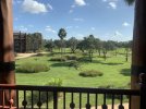 IMG_0348.jpeg