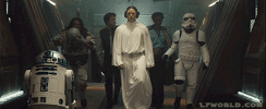 B2E42B12-C077-46F3-B2C1-4055E31C1414.gif