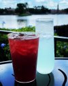 1B04B501-CAAB-414E-BC38-5F05FDC5D3DF.jpeg