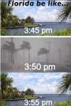 Florida Truth.jpg