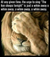 1651889216386.png